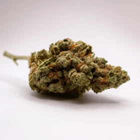 Fleurs de CBD Lemon M.S CBC