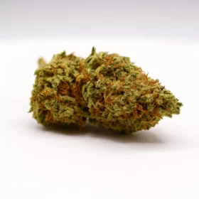 Fleurs de CBD Lemoncello M.S CBC