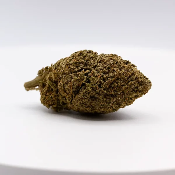 cbd lille fleurs de vbd white rhino cbc