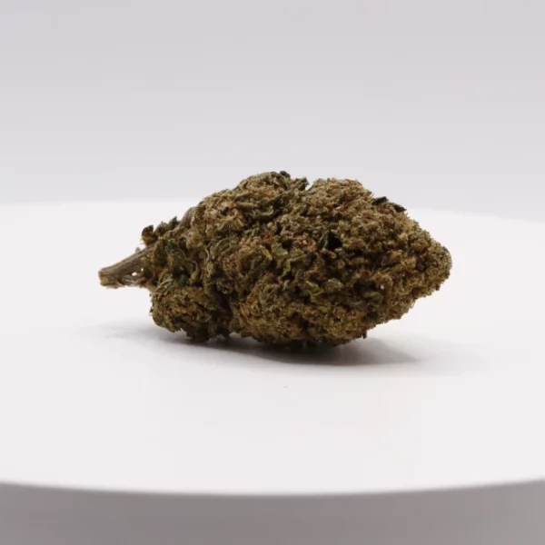 cbd lille fleurs de vbd white rhino cbc