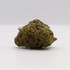 Fleurs de CBD Cali Mango (small buds)