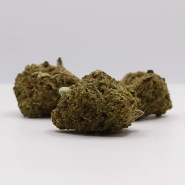 cbd lille fleurs de cbd cali mango