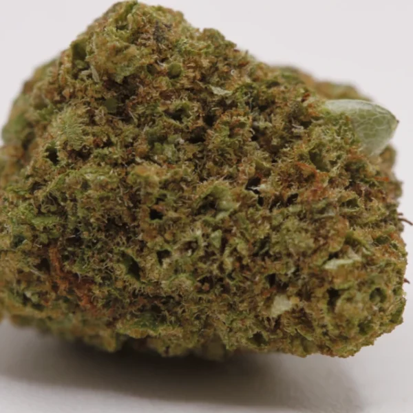 cbd lille fleurs de cbd cali mango