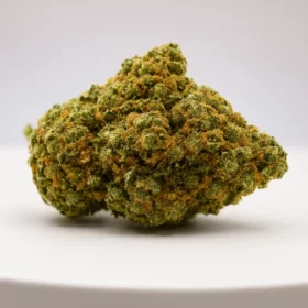 Fleurs de CBD Eureka (Tropicana Cookies)