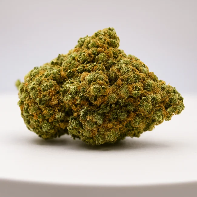 sativum-cbd-shop-eureka cbd lille fleurs de cbd eureka