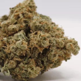 Fleurs de CBD Eureka (Tropicana Cookies)