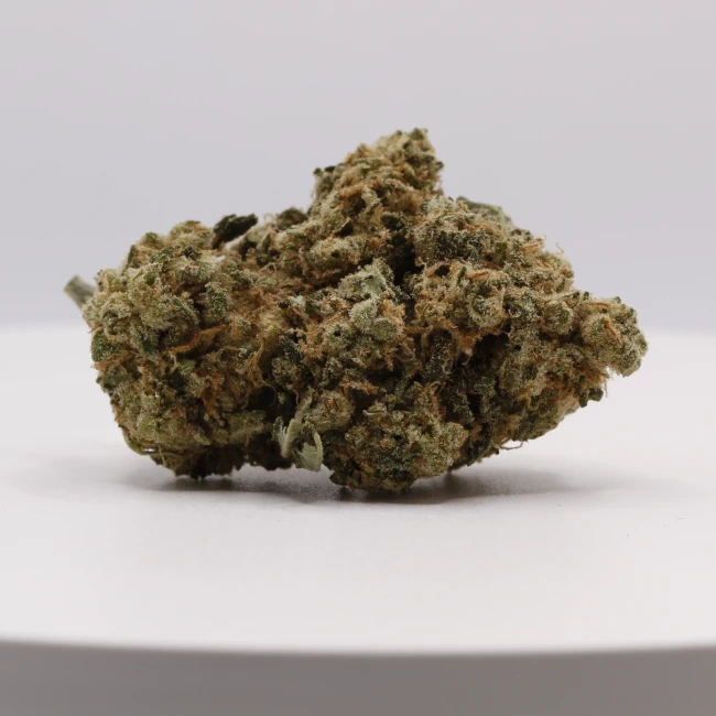 sativum-cbd-shop-eureka cbd lille fleurs de cbd eureka