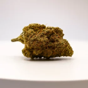 Fleurs de CBD Jungle VIP (Kali Mist)