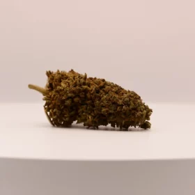 Fleurs de CBD Tepache (Pineapple Wines)