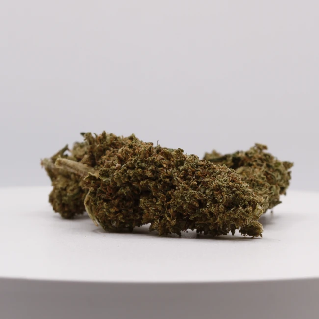 sativum-cbd-shop-tepache-groupe cbd lille fleurs de cbd tepache