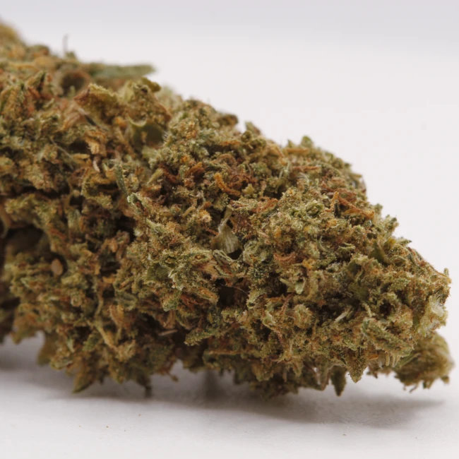 sativum-cbd-shop-tepache-macro cbd lille fleurs de cbd tepache