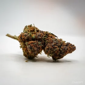 Fleurs de CBD Saphir Kush