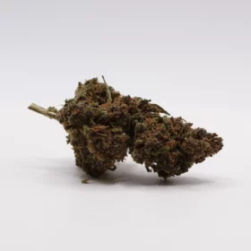 Fleurs de CBD Saphir Kush