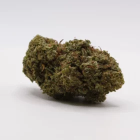 Fleurs de CBD Sorbet M.S CBC