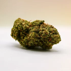 Fleurs de CBD Sorbet M.S CBC