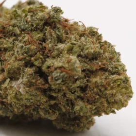 Fleurs de CBD Sorbet M.S CBC