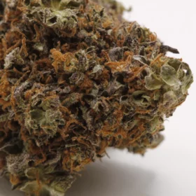 Fleurs de CBD Sunset