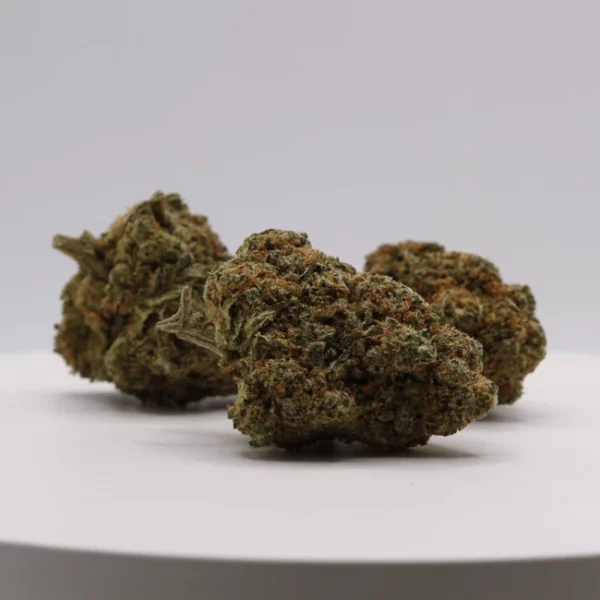 cbd lille fleur de cbd blueberry