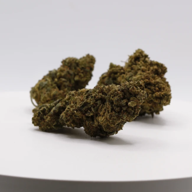 sativum-cbd-shop-bruce-banner-revuelto-groupe cbd lille fleurs de cbd bruce banner revuelto