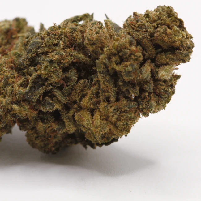 sativum-cbd-shop-bruce-banner-revuelto-macro cbd lille fleurs de cbd bruce banner revuelto