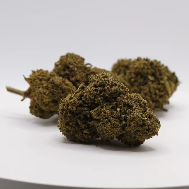 sativum-cbd-shop-cannatonic-groupe cbd lille fleurs de cbd cannatonic