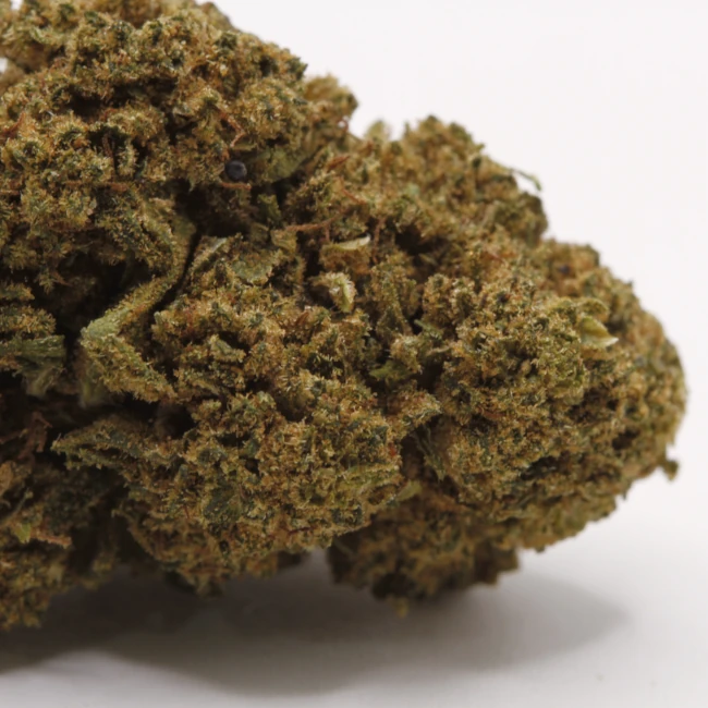 sativum-cbd-shop-cannatonic-macro cbd lille fleurs de cbd cannatonic