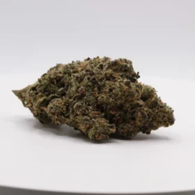 Fleurs de CBD Dutch Punch