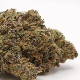 Fleurs de CBD Dutch Punch