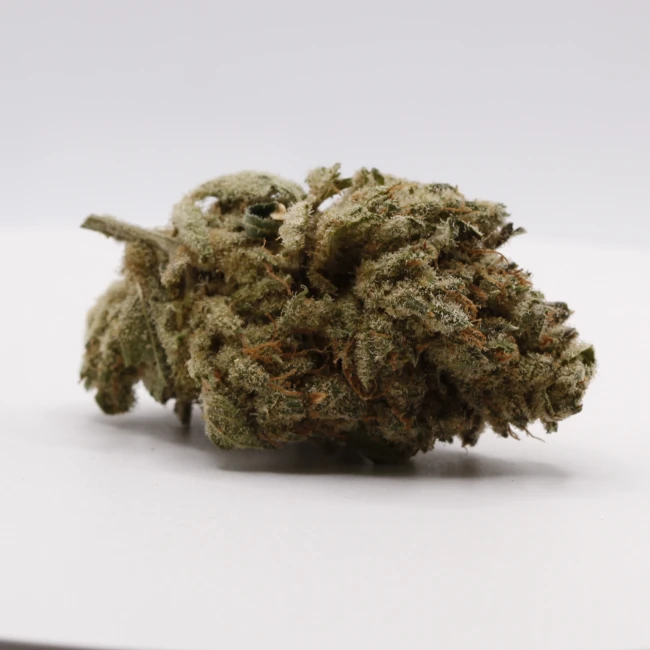 sativum-cbd-shop-ghost-us cbd lille fleurs de cbd ghost us