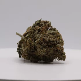 Fleurs de CBD Sherbet