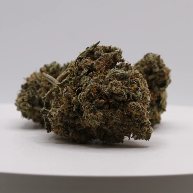 sativum-cbd-shop-sherbet-groupe cbd lille fleur de cbd sherbert