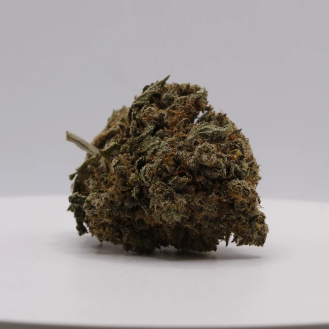 sativum-cbd-shop-sherbet cbd lille fleur de cbd sherbert