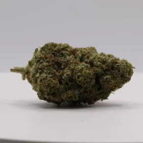 Fleurs de CBD Sky M.S CBC
