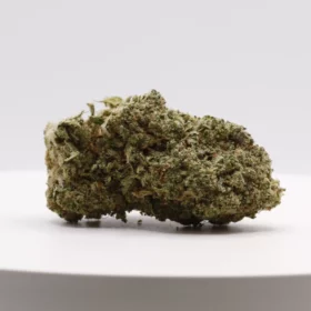 Fleurs de CBD V12 M.S CBC