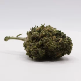 Fleurs de CBD Jungle Cake Revuelto