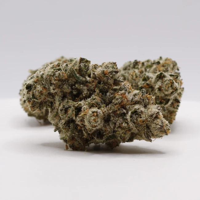 sativum-cbd-shop-snowing-in-dam-groupe cbd lille fleurs de cbd snowing in dam