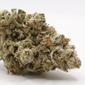 Fleurs de CBD Snowing in Dam