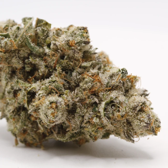 sativum-cbd-shop-snowing-in-dam-macro cbd lille fleurs de cbd snowing in dam