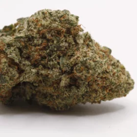 Fleurs de CBD Tangerine Dream M.S CBC