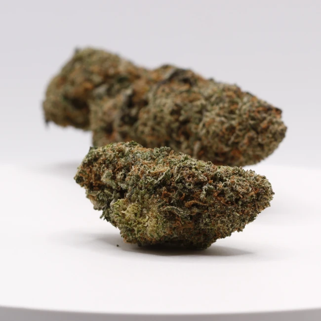 sativum-cbd-shop-galactic-punch-groupe cbd lille fleurs de cbd galactic punch