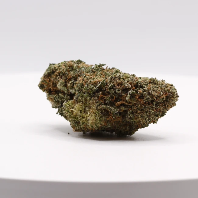 sativum-cbd-shop-galactic-punch cbd lille fleurs de cbd galactic punch