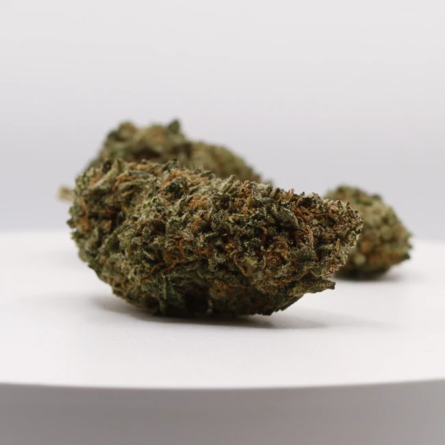 sativum-cbd-shop-godfather-og-groupe cbd lille fleurs de cbd godfather og