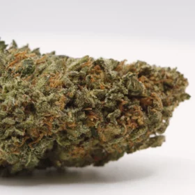 Fleurs de CBD Godfather O.G M.S CBC