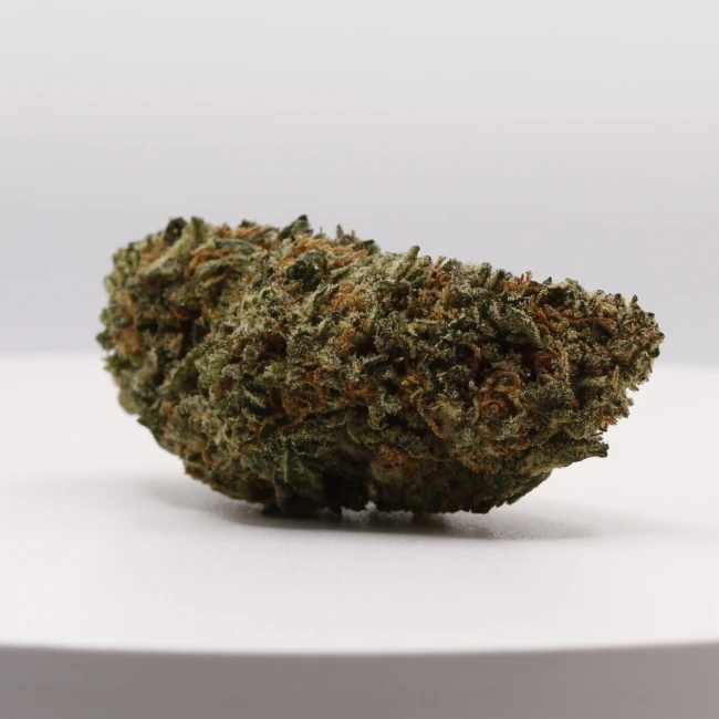 sativum-cbd-shop-godfather-og cbd lille fleurs de cbd godfather og