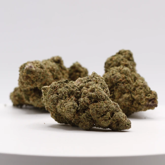 sativum-cbd-shop-oniria-groupe cbd lille fleurs de cbd oniria