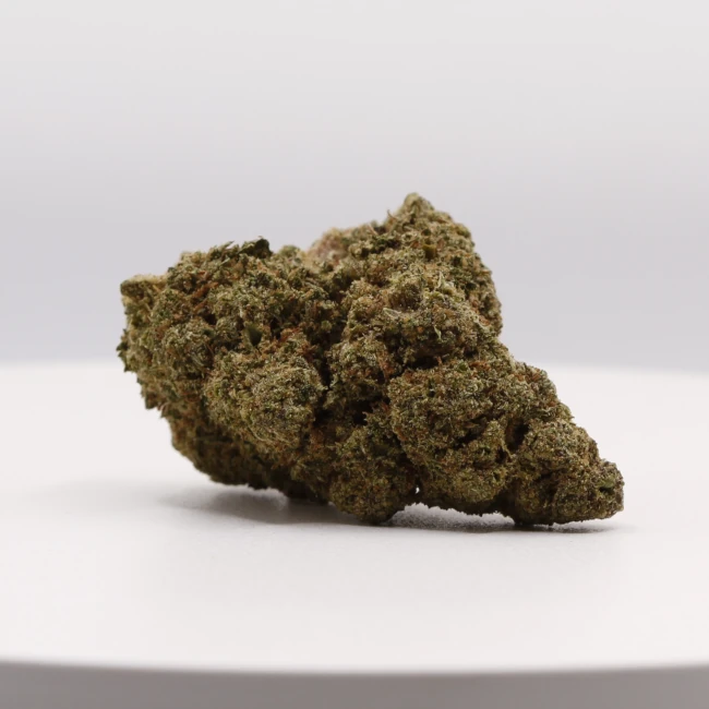 sativum-cbd-shop-oniria cbd lille fleurs de cbd oniria