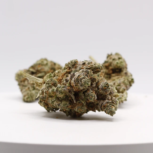 sativum-cbd-shop-tchernobyl-groupe cbd lille fleurs de cbd tchernobyl