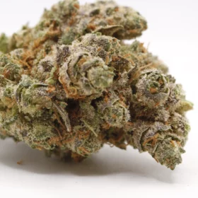Fleurs de CBD Tchernobyl
