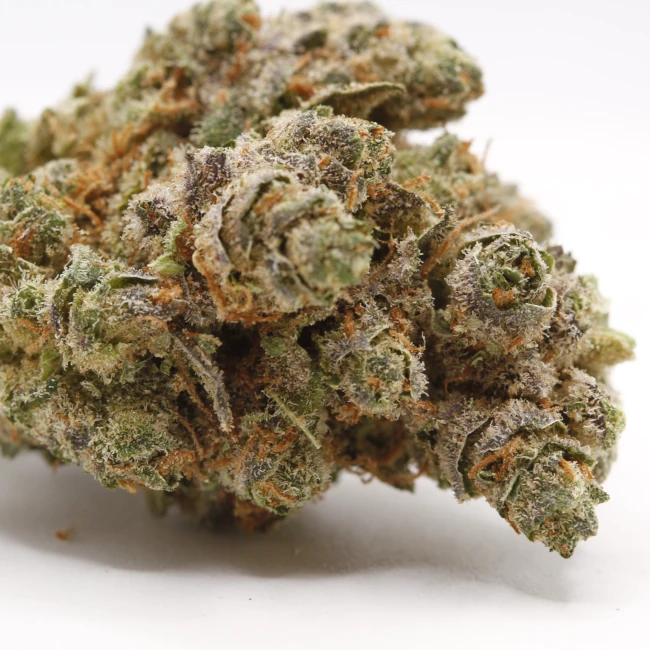 sativum-cbd-shop-tchernobyl-macro cbd lille fleurs de cbd tchernobyl