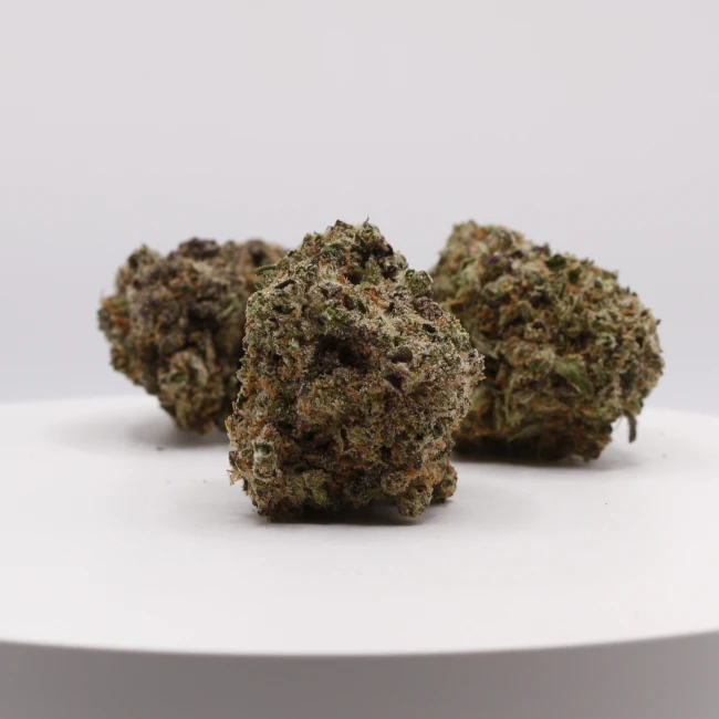 sativum-cbd-shop-jelly-gelato-groupe cbd lille fleur de cbd jelly gelato